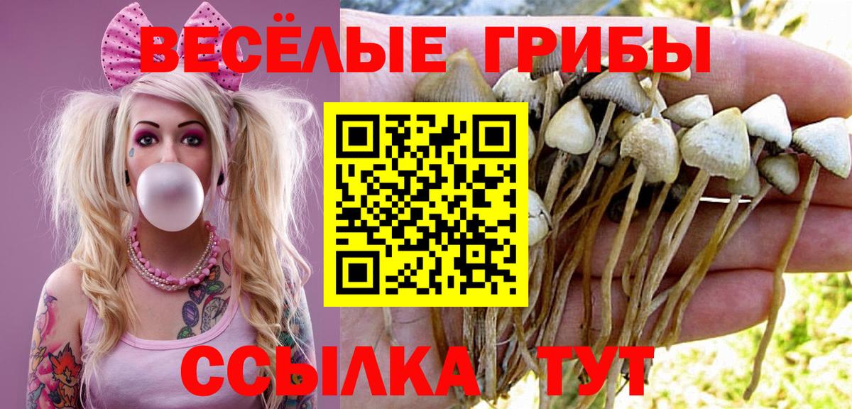 Галлюциногенные грибы ЛСД  цены наркотик  Тайшет  Вход с VPN 